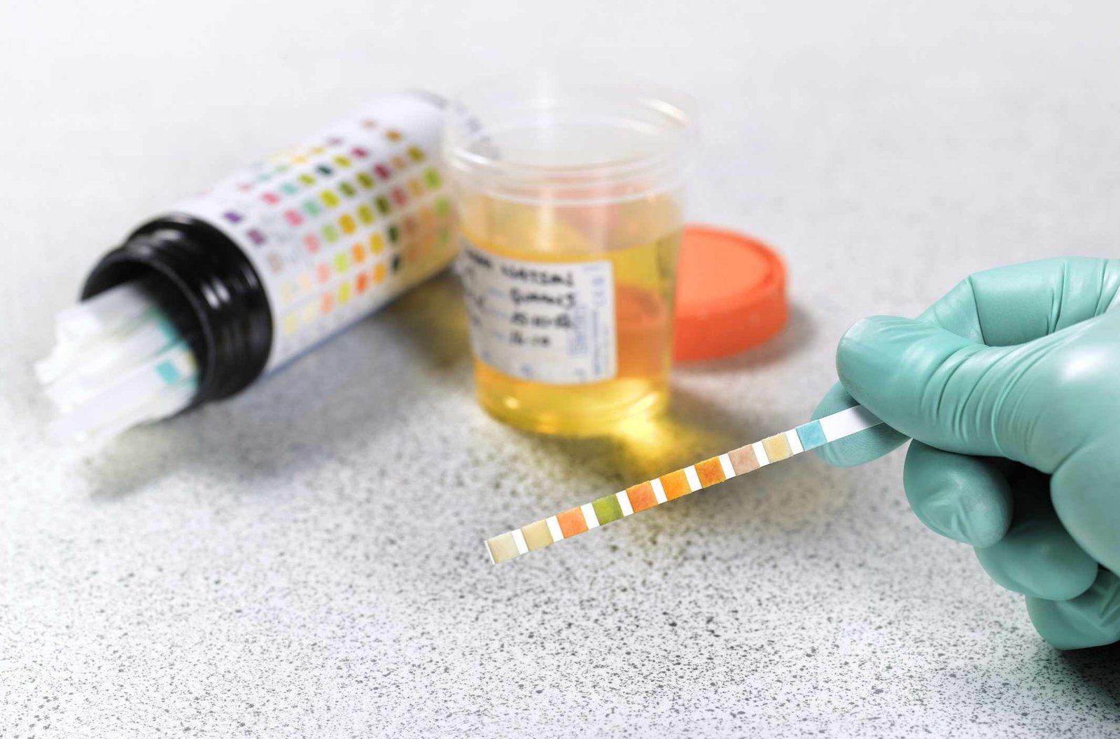 Complete Masterclass on pH Balance, Body Chemistry & Human Health Regulation