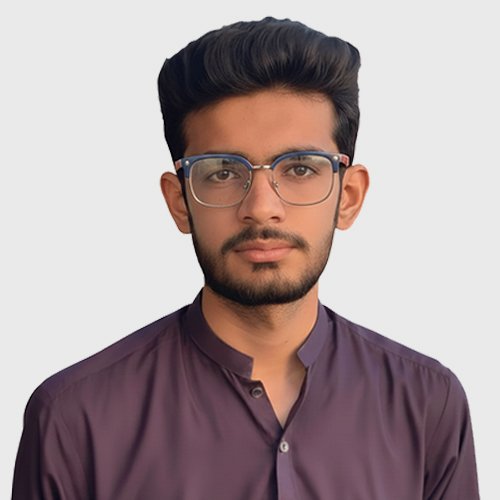 Muhammad Junaid Fraz