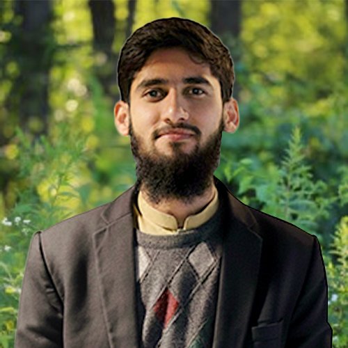 Tayyab Zulfiqar